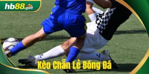 Kèo chẵn lẻ bóng đá